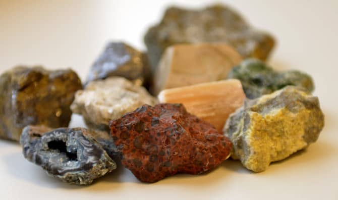 Now Scientists Can Extract Minerals From Plants