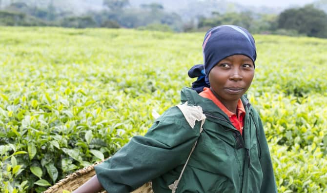 Food Forest Initiative is Feeding Hospital Patients