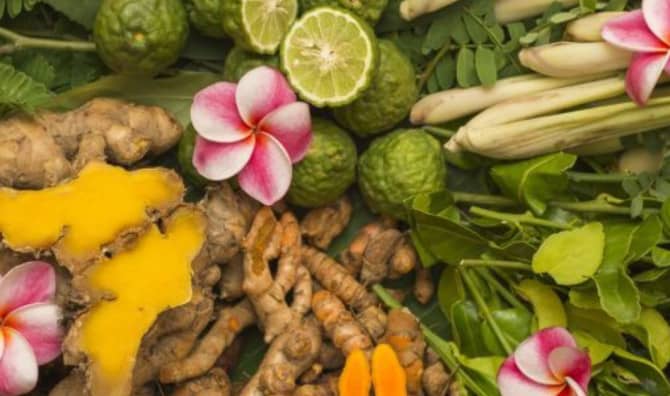 How to Activate Each Ayurveda Dosha