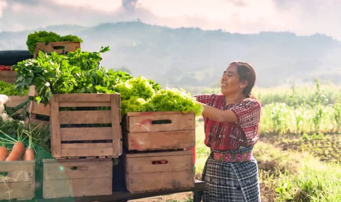 Gardening Across the Generations