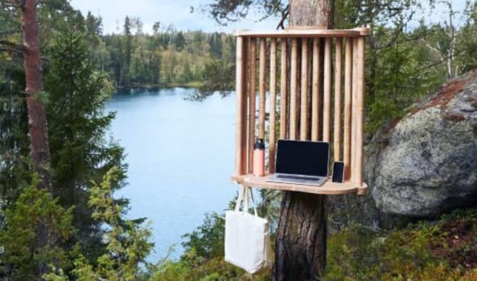 How to Hot-Desk Out of a Forest!