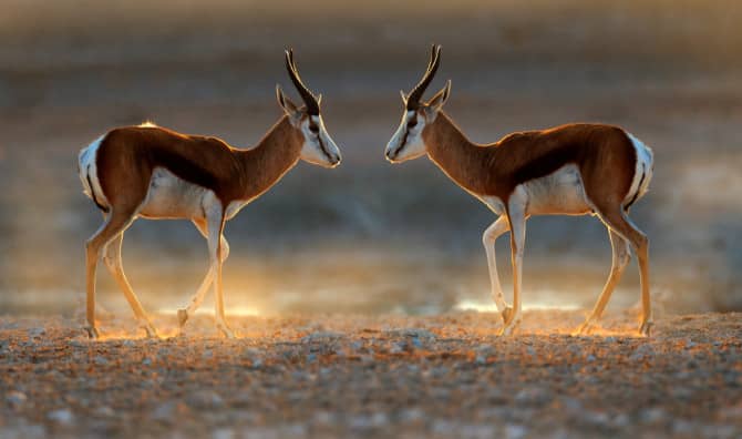 These Cool 2022 Travel Destinations Offer a Bucket List Update!