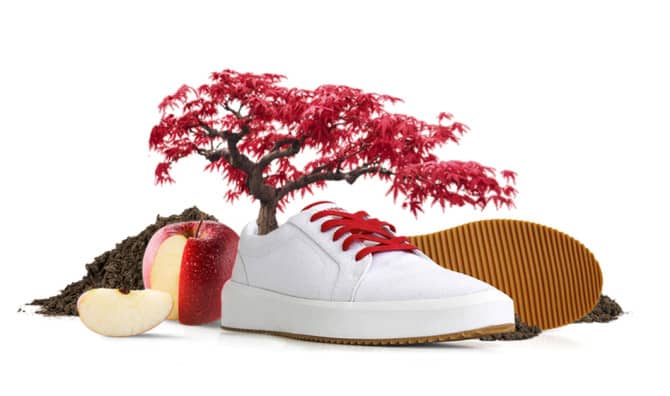 This Shoe Grows Into a Tree!