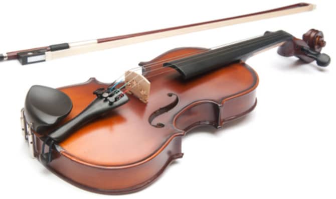 This Violin Is Music to the Ears of Vegans