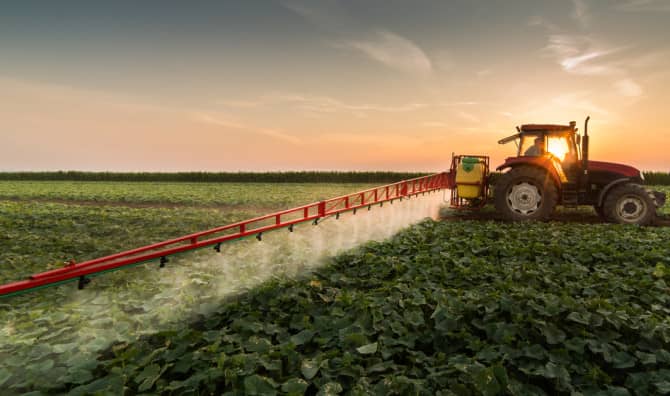 Meet the Newest Robot in Food!