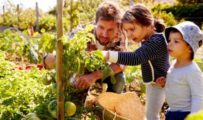 Growing a Future: How Shared Gardens are Reshaping This City!