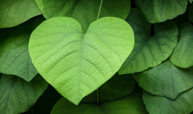 Meet a Cool Way to Use Preloved Stuff!