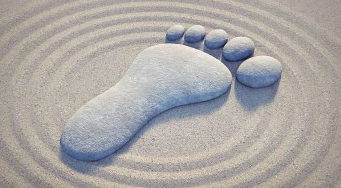 Introducing Reflexology for Healing