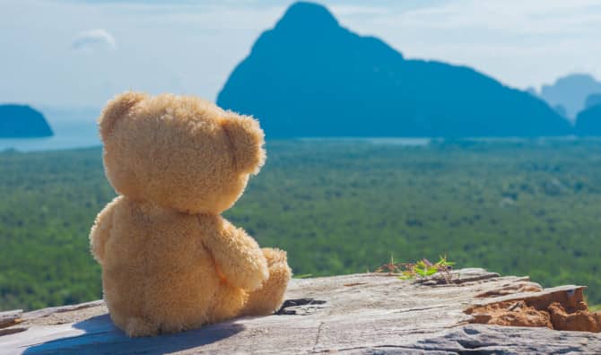 Kind Team Reunites Little Boy With his Precious Teddy Bear