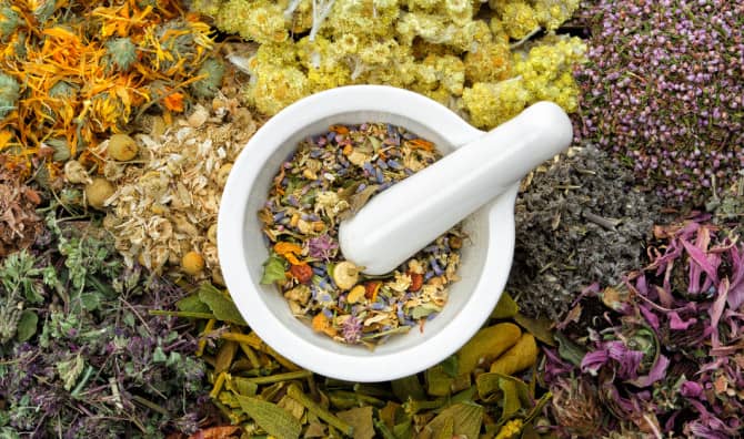 9 Healing Herbs to Use for Wellness
