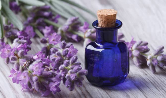 5 Amazing Uses for Lavender Oil