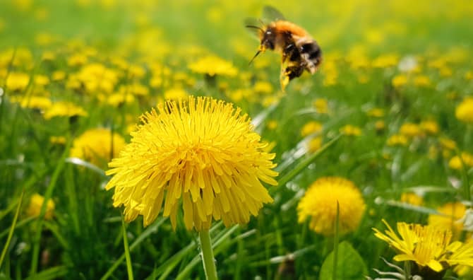 Put the Lawnmower Away for May