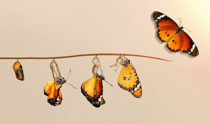 Navigating the 5 Stages of Change