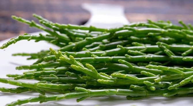 These Desert-Grown Burgers Contain a Trending Food Ingredient