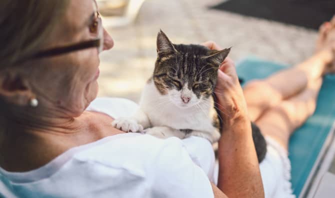 This Senior Cat and Senior Pet Parent are a Purrfect Match