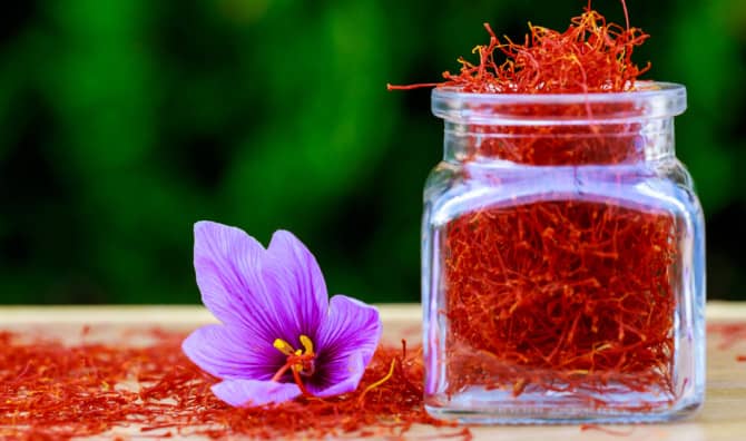 Introducing the 5 Wellness Benefits of Saffron