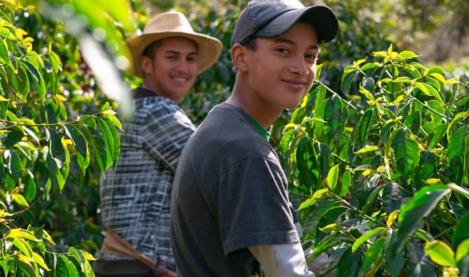 Tropical Seed Vault Reaps the Benefits of Crop Research