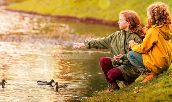 Tiny, Modest Ponds are a Wonder of Nature