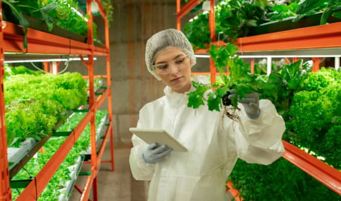 Metro Stations Are Being Turned Into Vertical Farms