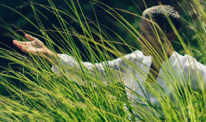 What Dreams Will You Manifest? [Quiz]