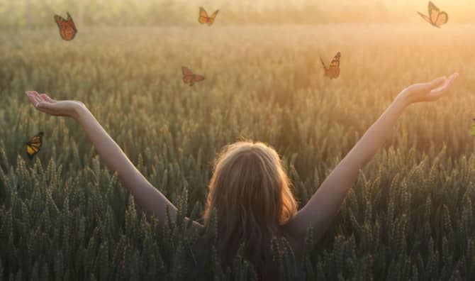 Discover the Spiritual Meaning of Animals