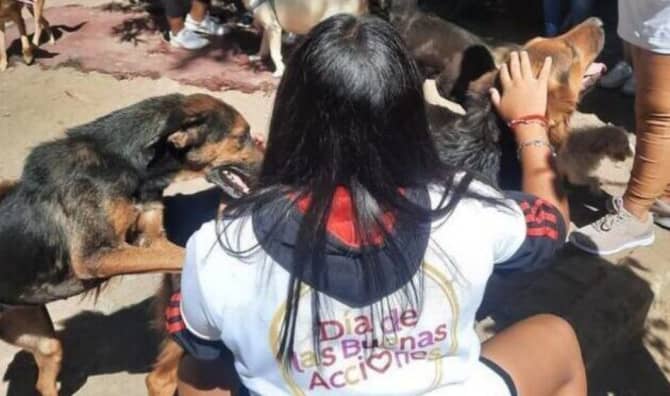 6 Projects That Care for Animals