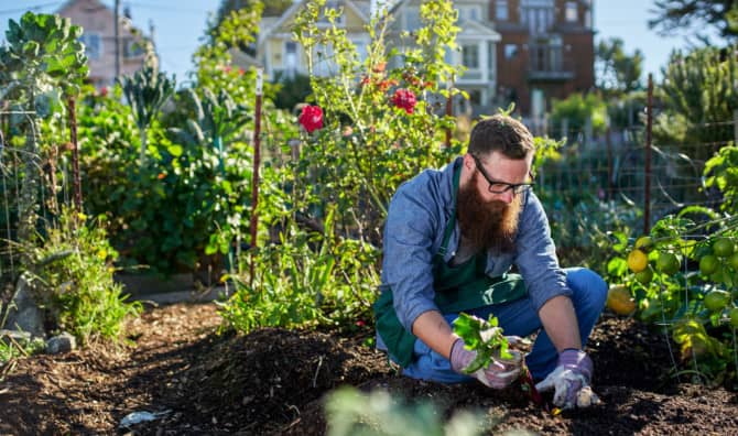 Seed Planters Spreading Happiness and Color in a Busy City