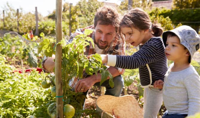 7 Tips for a Better Garden