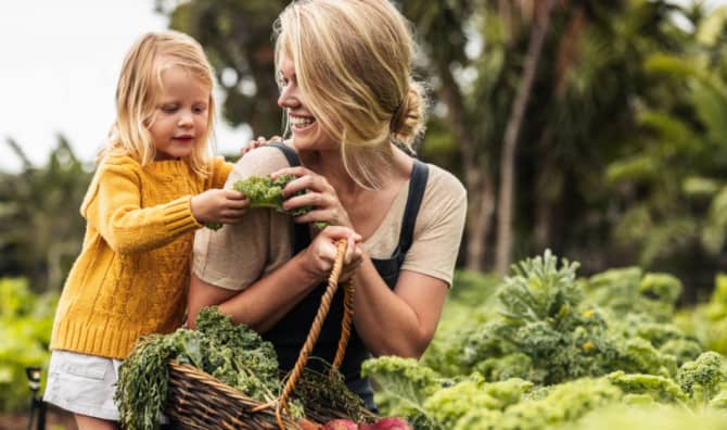 Enjoy Clean Eating With These Fruits and Veggies