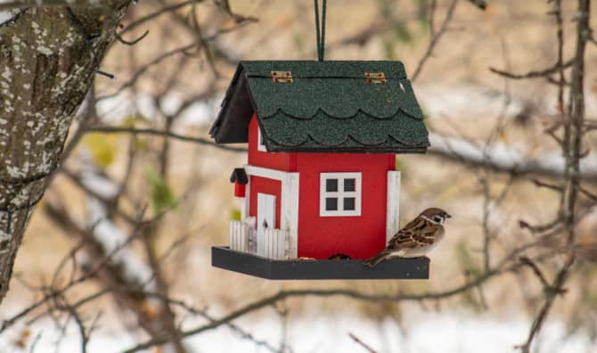 7 Benefits of Having a Backyard Birdhouse
