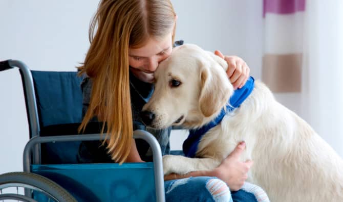 Precious Service Dog Graduates With His Grateful Owner