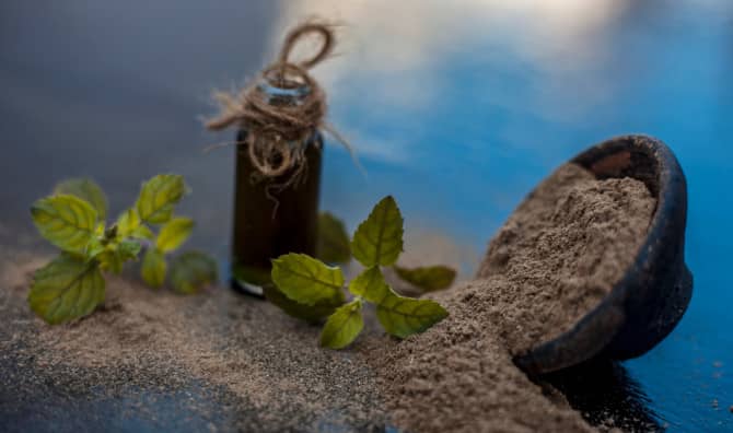 5  Wellness Benefits of Bacopa to Explore