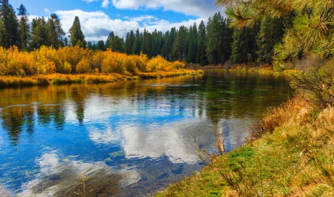 Dam’s Removal Restores Spirit and Habitat