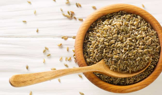 This Ancient Grain is Back!