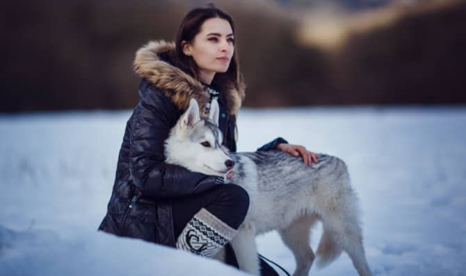 Introducing the Spiritual Meaning of Dogs