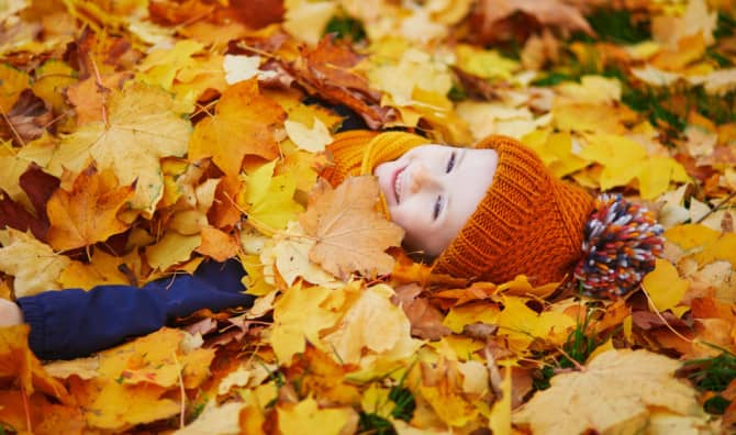 Leave the Leaves and Reap the Benefits