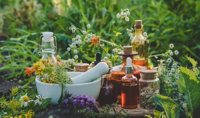 How Much Do You Know About Healing Herbs? [Quiz]