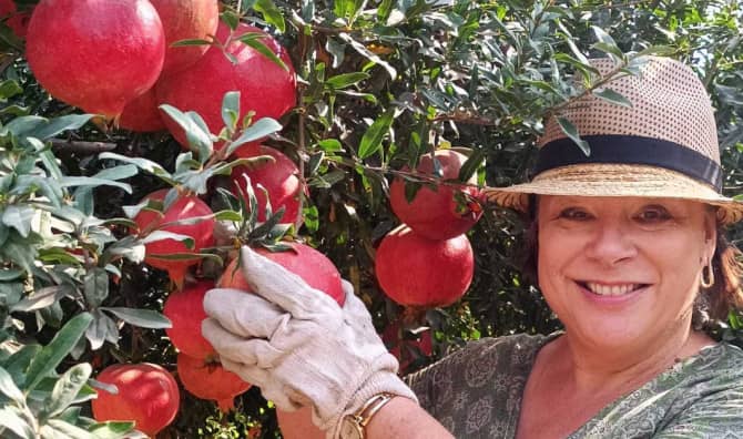 Harvesting Hope: Volunteers Unite to Support Israeli Farmers 