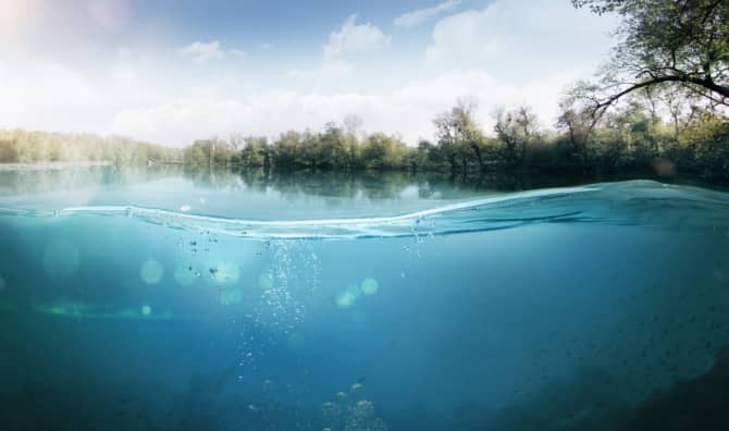 Reviving Lakes Using Ancient Methods