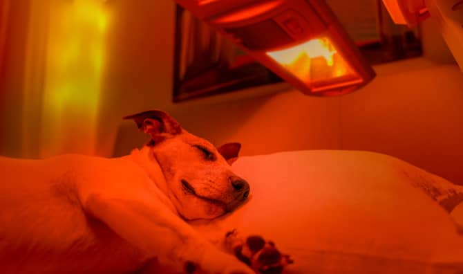 The Transformative Wellness Benefits of Infrared Light Therapy