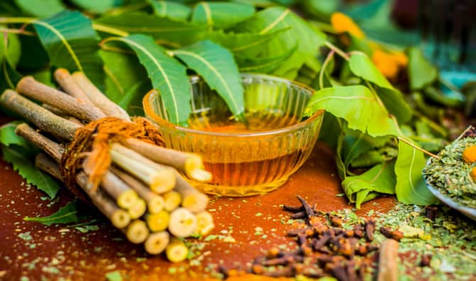 How Much Do You Know About Ayurvedic Healing Herbs? [Quiz]