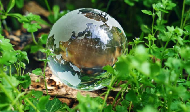 Embracing Positive Shifts for Earth in 2024