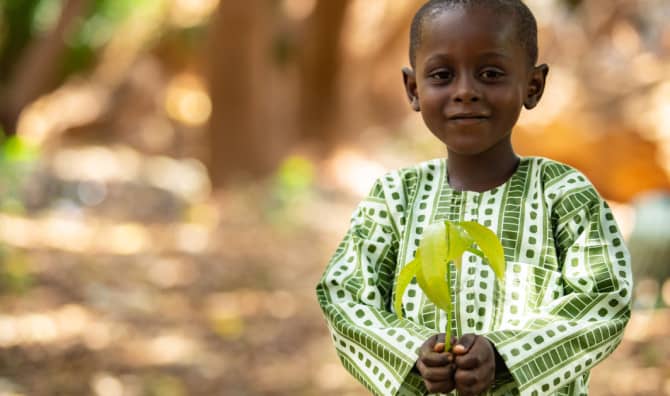 This Country has a Tree Planting Holiday!