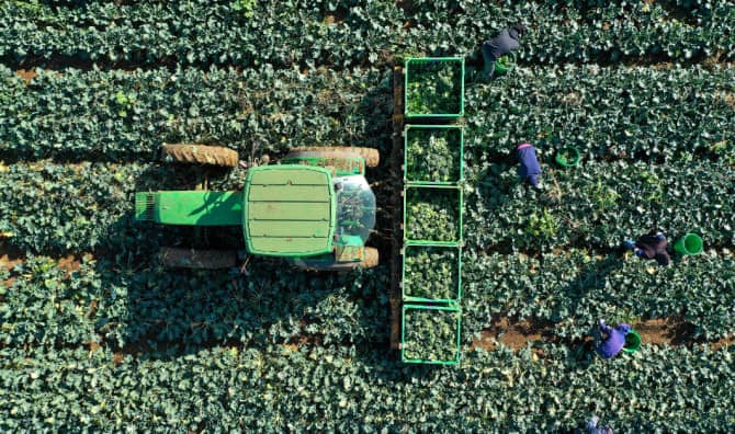 Meet the Christian Entrepreneur Standing in Solidarity with Israeli Farmers