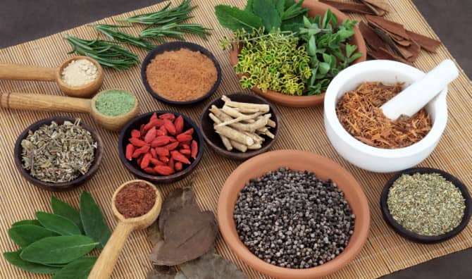 Introducing Rasayana Herbs: The Rejuvenation Branch of Ayurveda