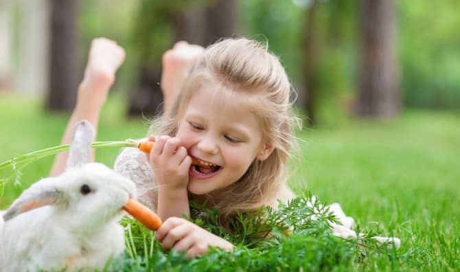 5 Reasons Rabbits Make Great Pets