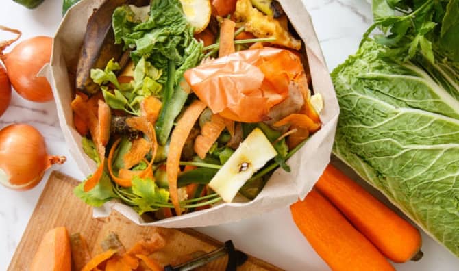 5 Food Scraps to Nourish Your Garden