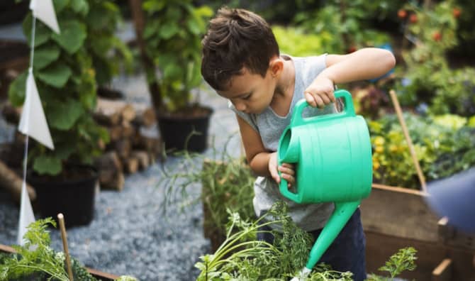 Replenishing Soil for Community Gardens