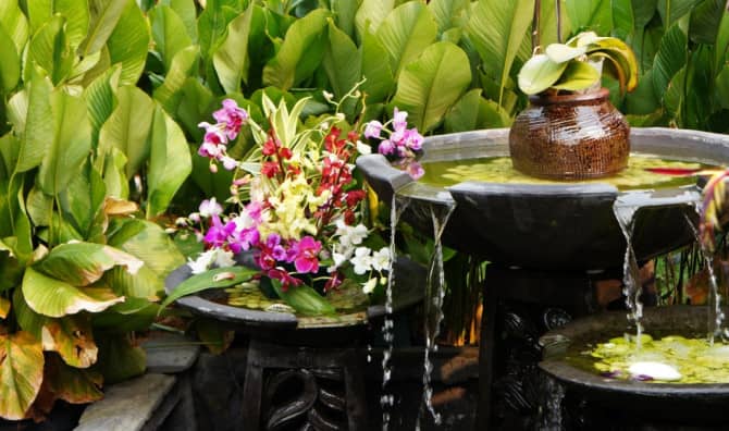 5 Tips to Create Feng Shui in Your Garden