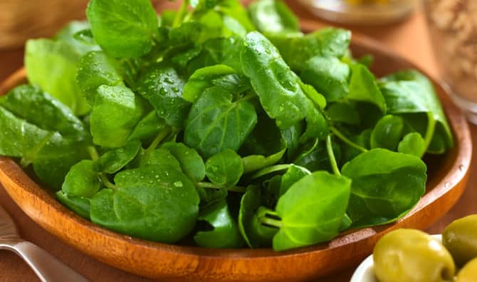 5 Incredible Wellness Benefits of Watercress
